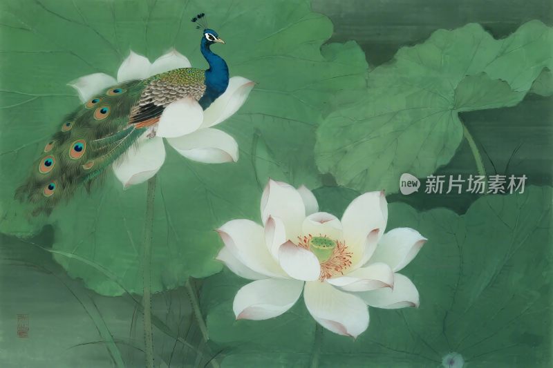 孔雀荷花水墨画