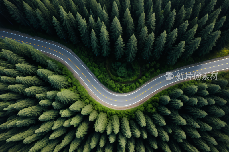 森林中央蜿蜒道路的景观风光风景图片