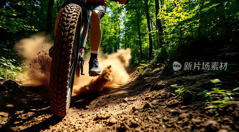 骑行者的冒险之旅