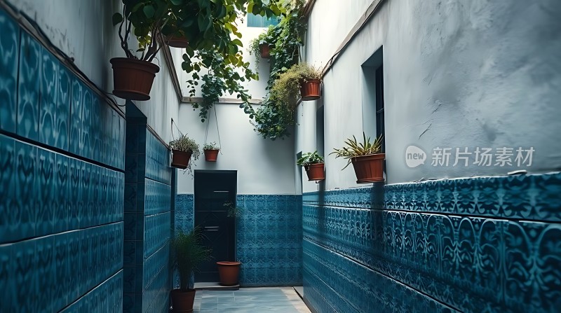 蓝调小院绿意盎然