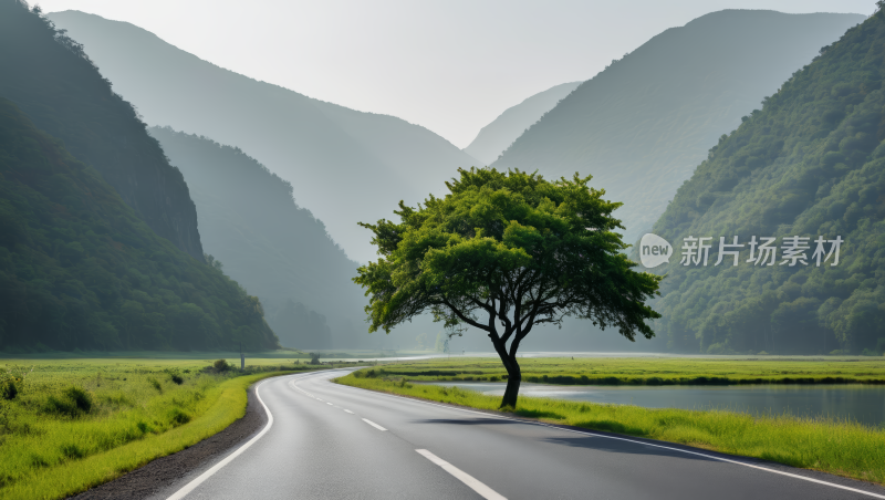 公路孤树风光风景图片