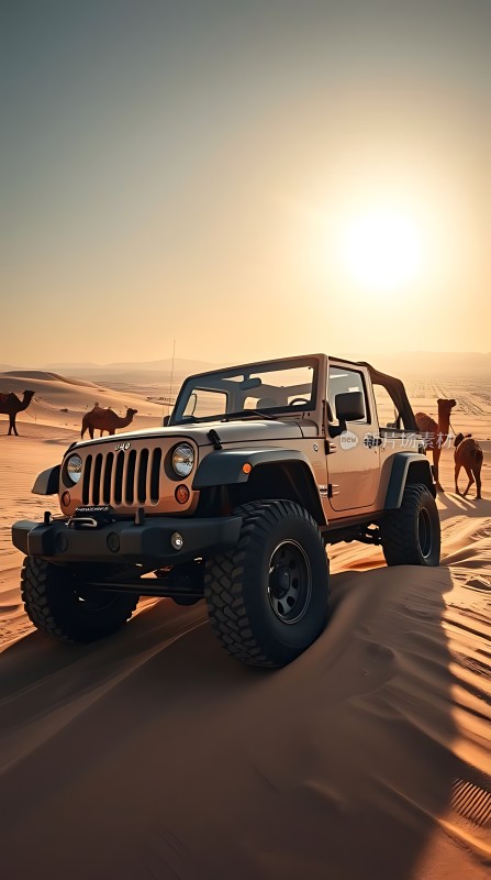 沙漠探险之旅 Jeep驰骋沙海骆驼相伴同行