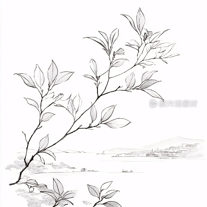 黑白手绘植物枝叶插画