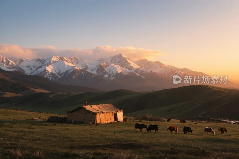 草原雪山自然风光