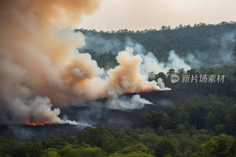 中午森林大火冒出浓烟风光风景图片