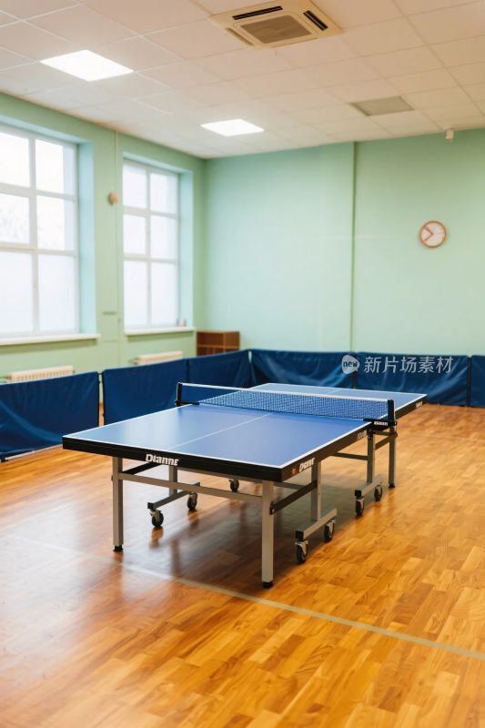 室内乒乓球运动场地