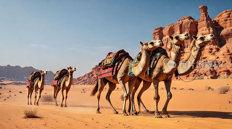 沙漠驼队穿越金色沙丘