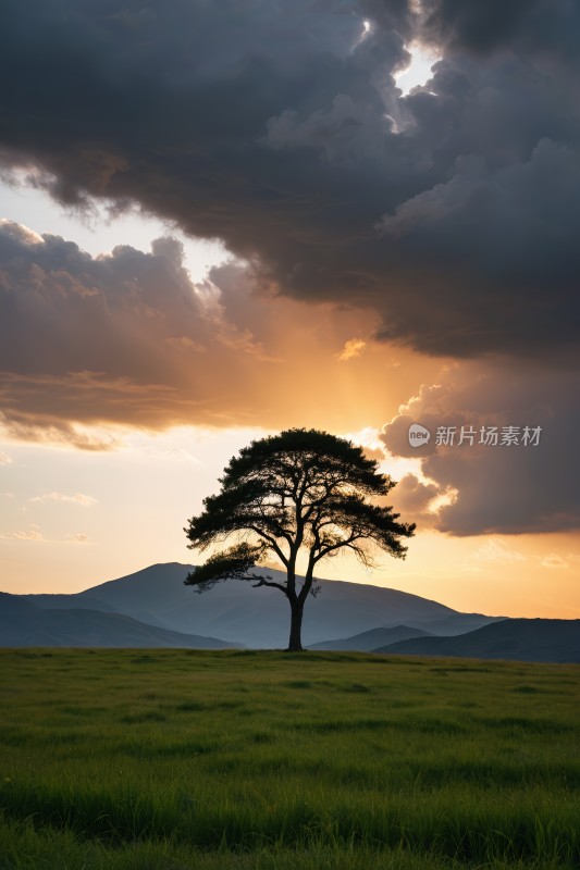 田野里的树一座高山清图片