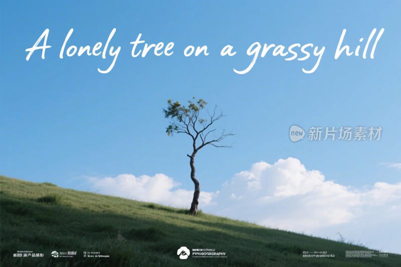 孤独的树在草坡