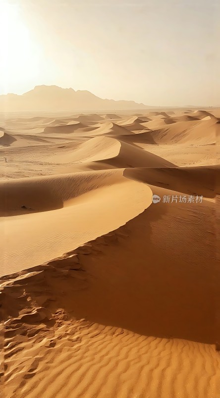 金色沙丘下的静谧沙漠风光