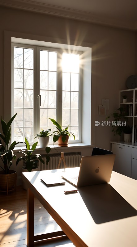阳光洒满书房绿意盎然工作环境舒适宜人