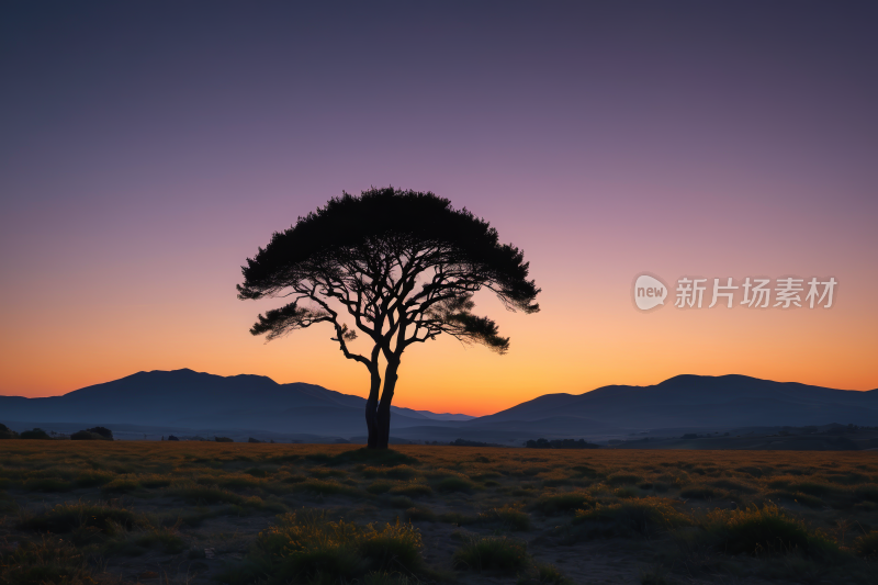 山脉的田野里的树高清风景图片