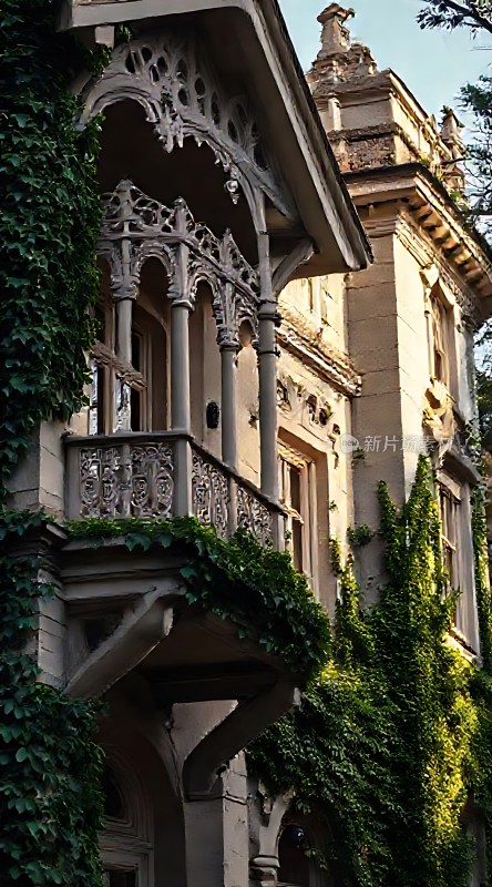 古堡秘境藤蔓缠绕下的神秘建筑