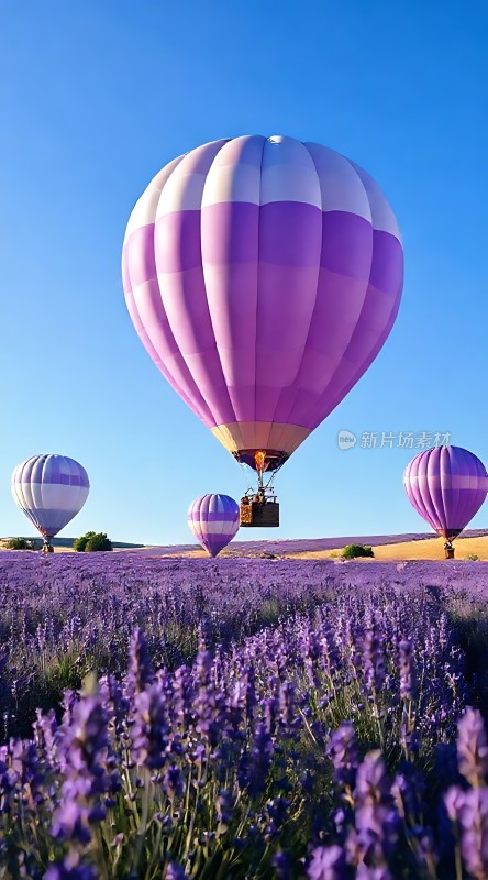 薰衣草田热气球之旅