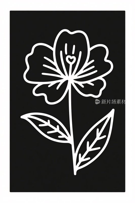 黑白花卉插画图案