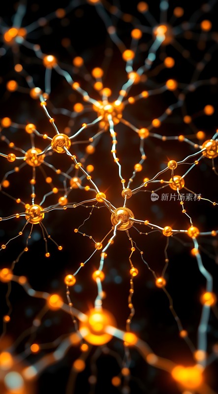 神经元网络结构图