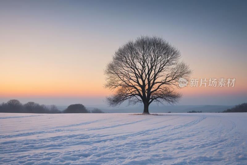 雪地里的树日落高清风景图片