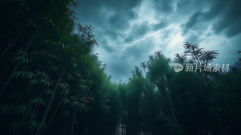 雷雨夜竹林闪电