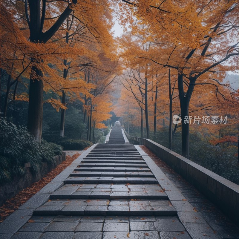 南京九华秋色寺