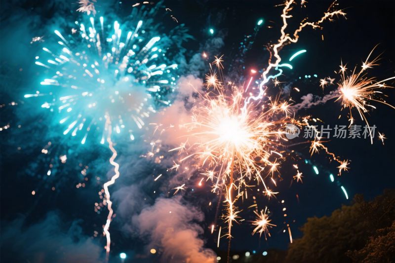 夜空烟花绽放美景