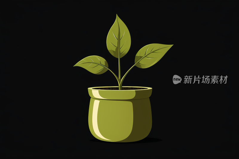 盆里一株植物上面有绿叶图片