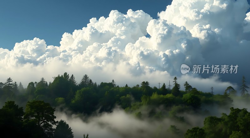 蓝天白云下的绿色森林