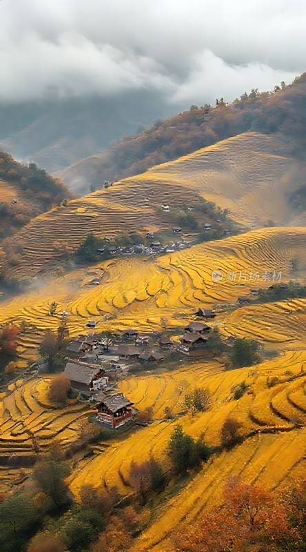 梯田村落秋色浓