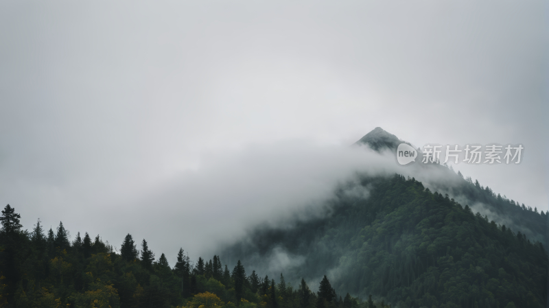 一座被雾气覆盖的高山清风景图片