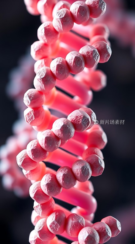 粉红色螺旋结构