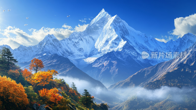 西藏巍峨雪山云海翻腾宏伟自然风光背景