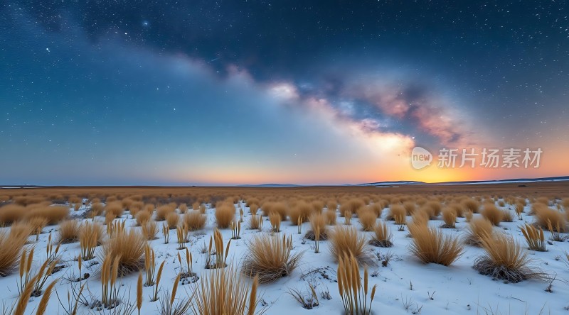 星空下的雪地草原