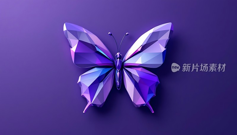 紫色蝴蝶翅膀上的几何图案