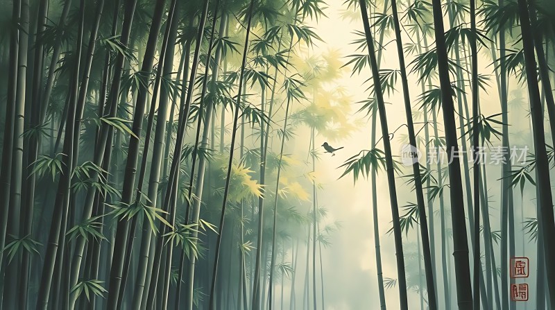 竹影斑驳鸟语花香