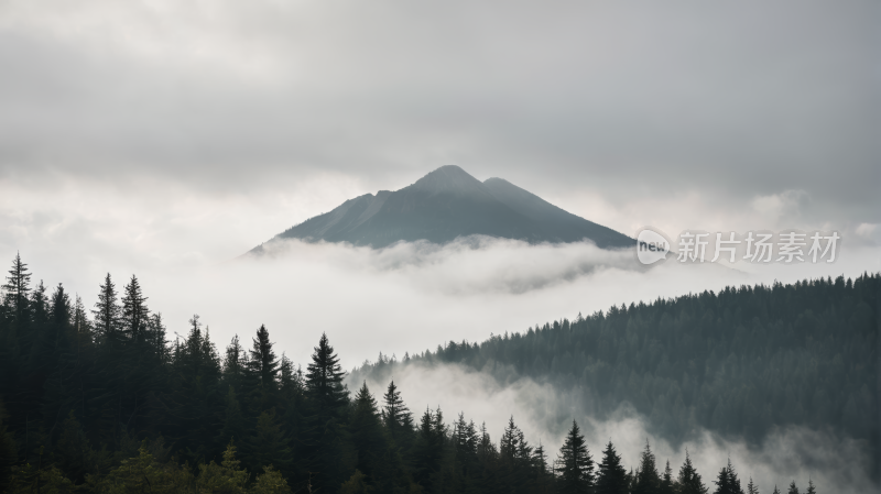 有一座山云层覆盖森林覆盖风景图片