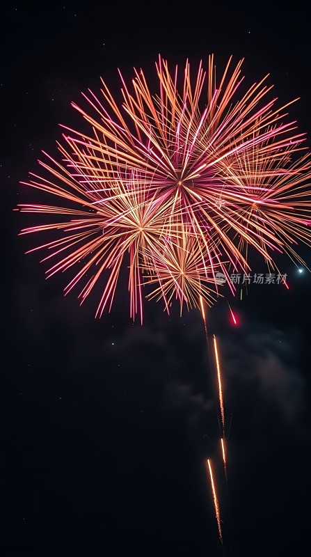 夜空烟花绽放色彩斑斓璀璨夺目