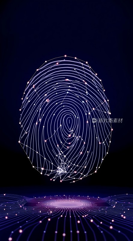 数字指纹识别技术