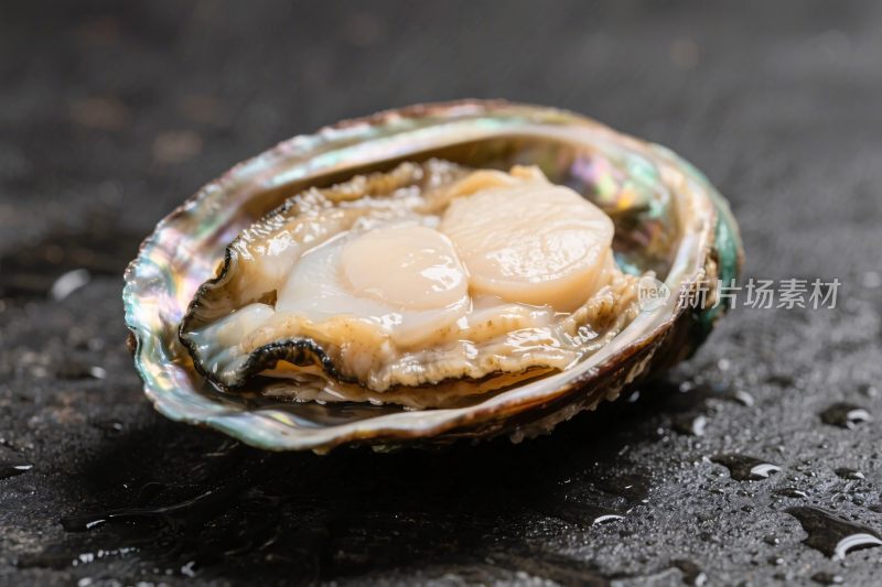 鲍鱼食材展示图