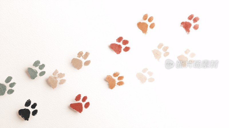 多彩宠物爪印排列画面
