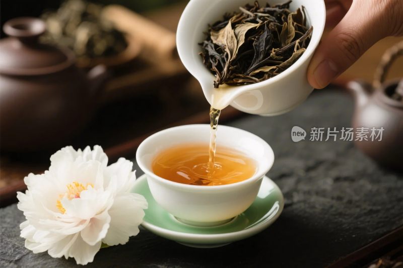 茶艺泡茶场景