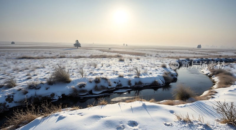 冬日雪原上的宁静小溪