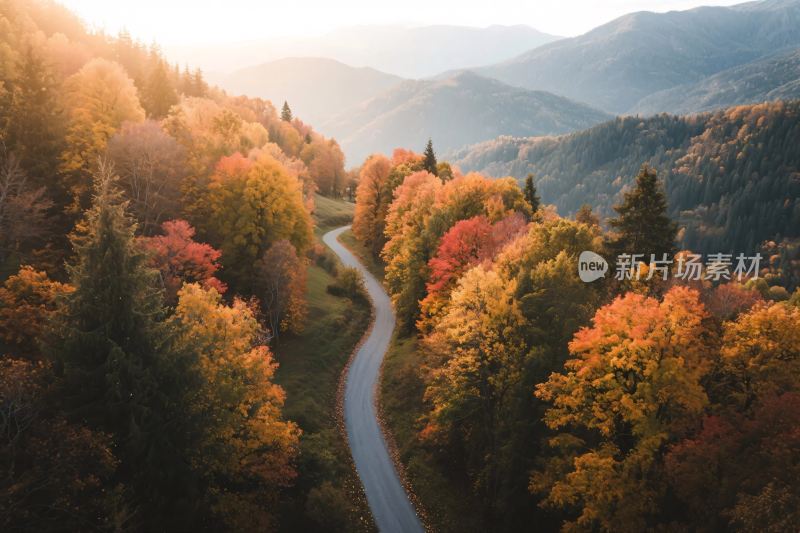 秋日山间蜿蜒公路美景