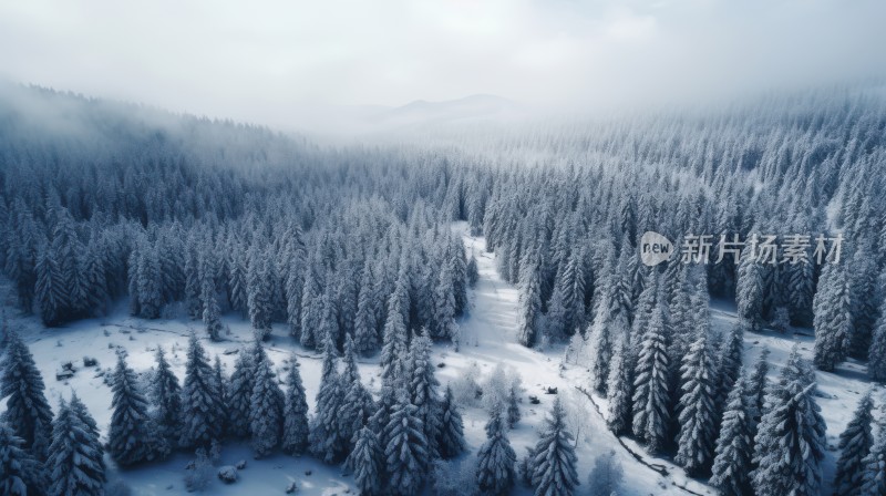 雪景松林