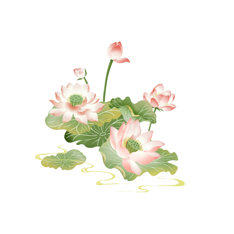 二十四节气插画立夏植物夏季池塘荷花