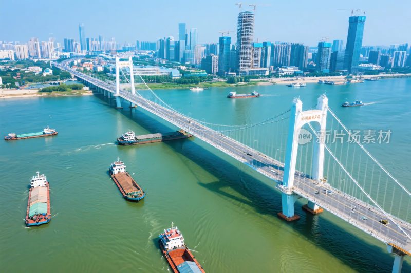 城市跨江大桥航拍景观