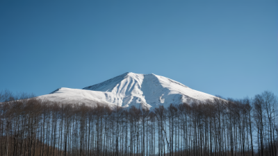 山顶上有树木和雪风景图片