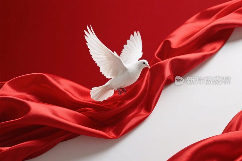 白鸽红色绸缎插画