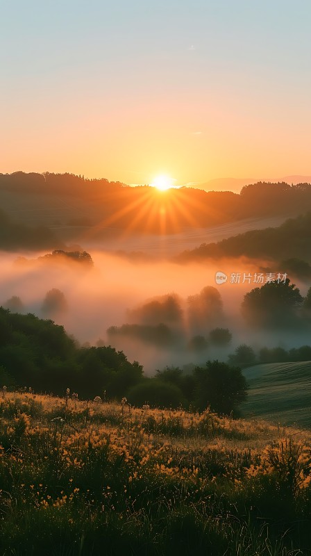 晨曦中的雾霭山谷