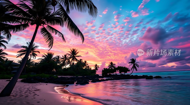 椰林晚霞映碧波