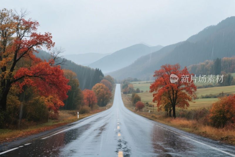 秋日雨中的蜿蜒公路景色