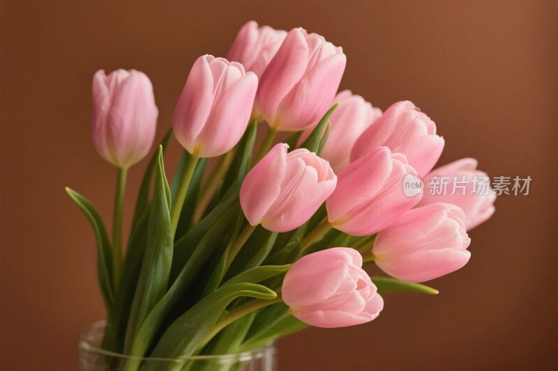 粉色郁金香花束